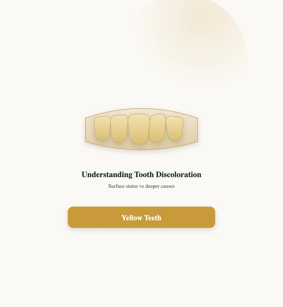 Yellow Teeth causes overview at PlanDental, Mahim, Mumbai